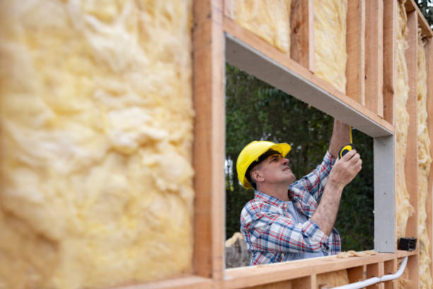 Best Wall Insulation Installation in Carson City, NV